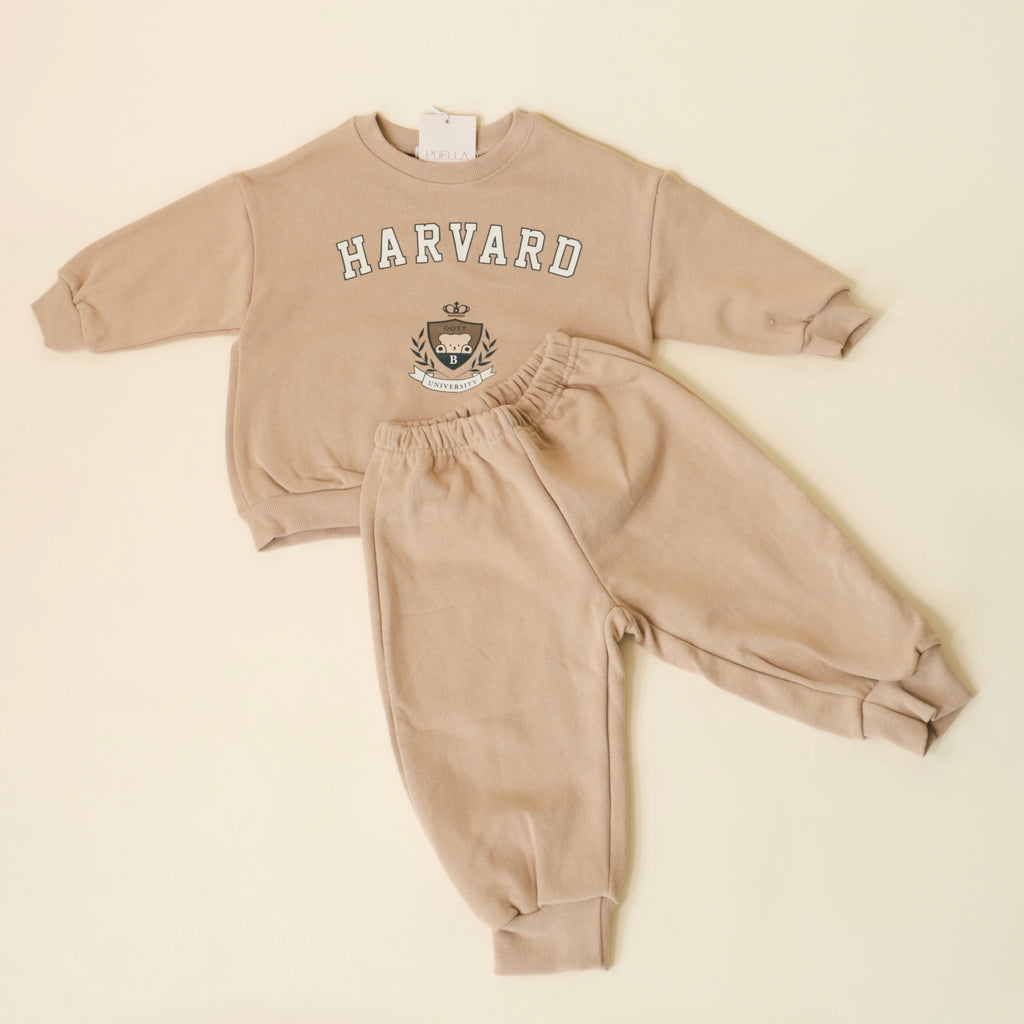 HARVARD AIRPORT SET